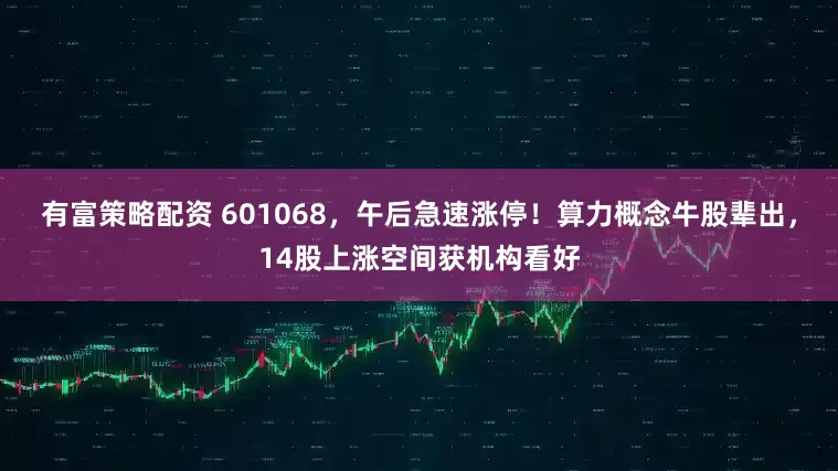 有富策略配资 601068，午后急速涨停！算力概念牛股辈出，14股上涨空间获机构看好