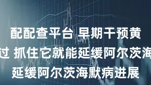 配配查平台 早期干预黄金期别错过 抓住它就能延缓阿尔茨海默病进展