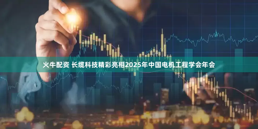 火牛配资 长缆科技精彩亮相2025年中国电机工程学会年会